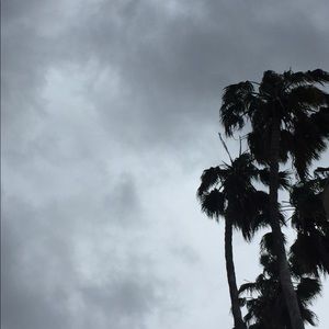 Meet your Posher, Dani